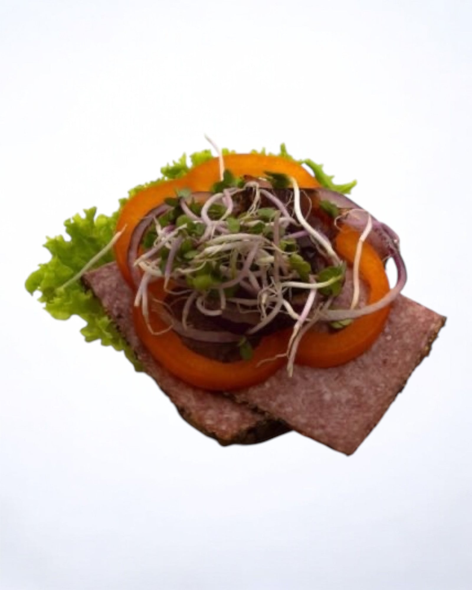 Dansk kryddersalami med rødløg og sky