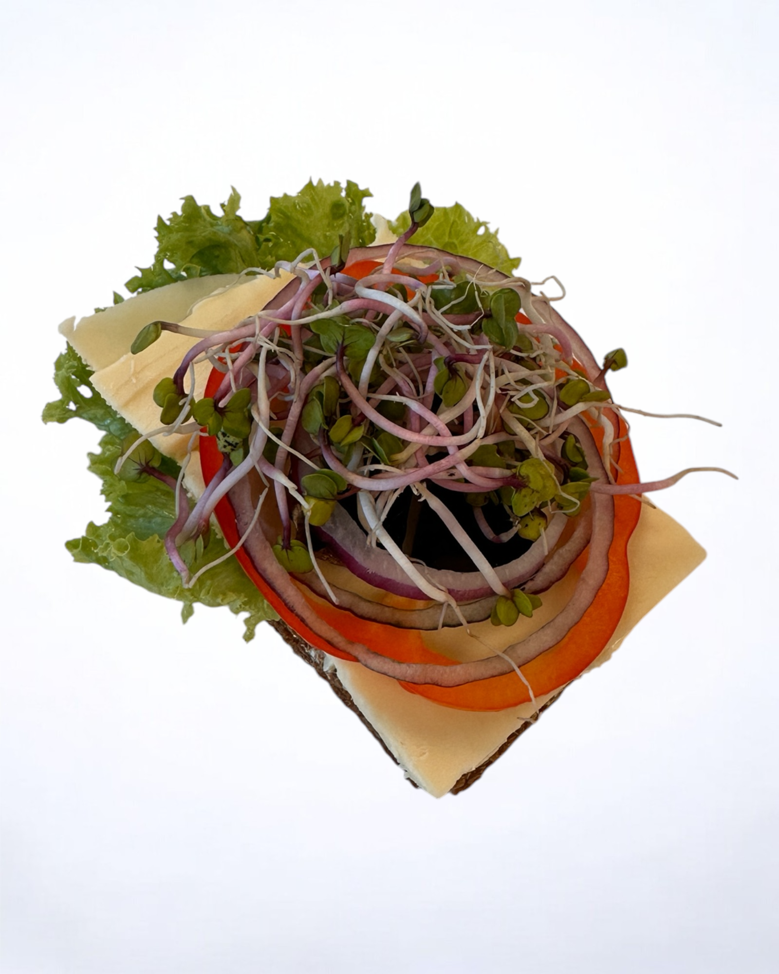 Dansk lageret ost med sky og rødløg, pyntet med grønt