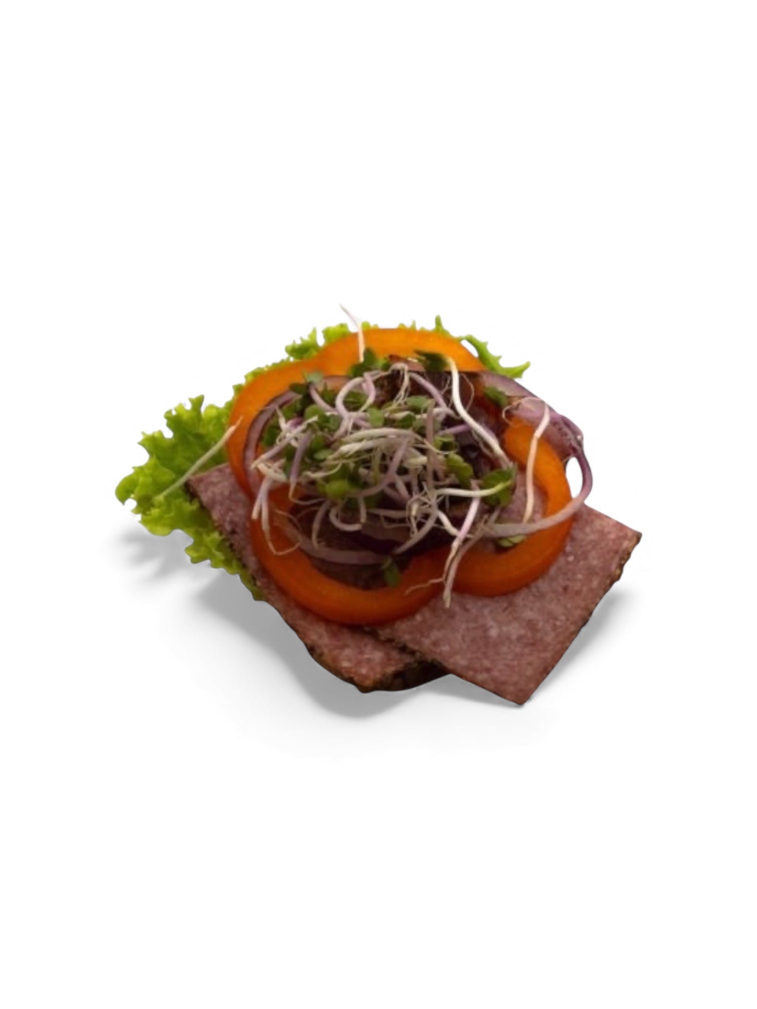 Dansk kryddersalami med rødløg, sky og grønt på solsikkerugbrød