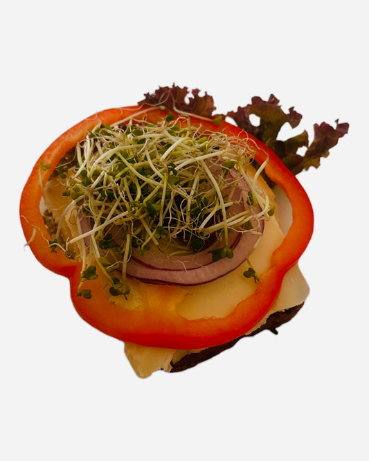 Dansk lageret ost med rødløg, peberfrugt og grønt. Anrettes på dansk solsikke rugbrød